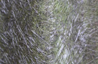 Hamworthy fibreglass roof work